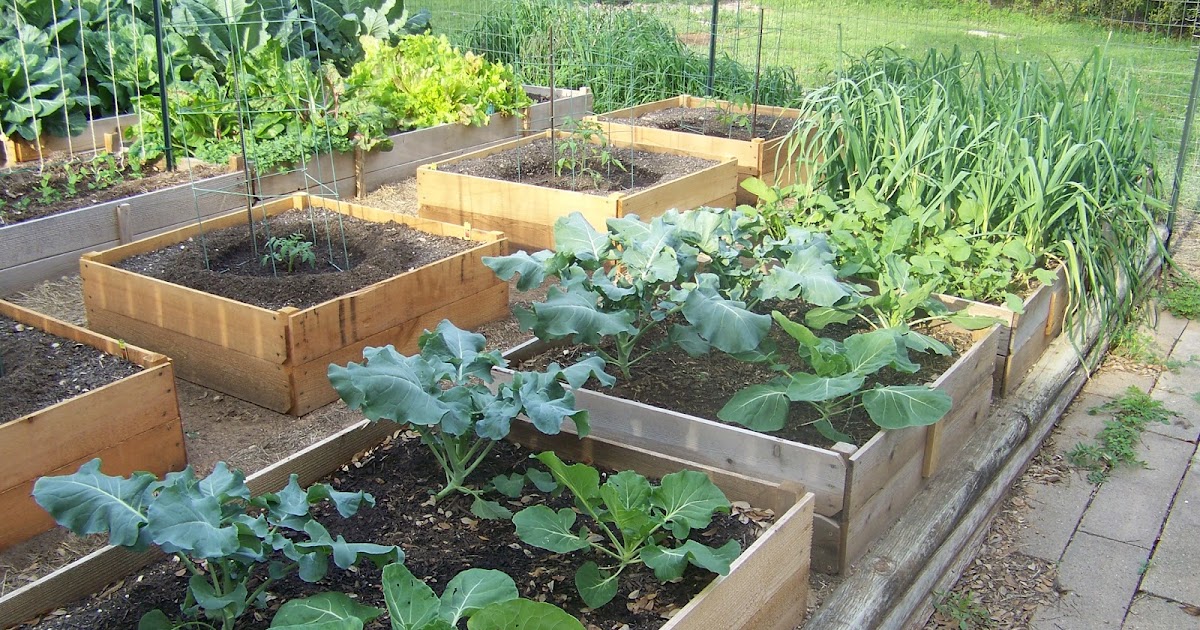Dirty Fingernails Gardening: Raised Bed Evolution