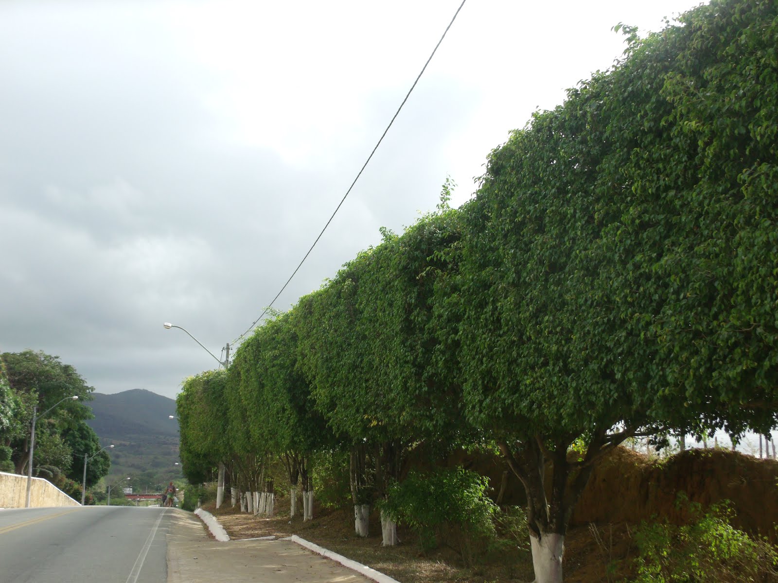 BELEZA E EXUBERÂNCIA DE NOSSA TERRA!