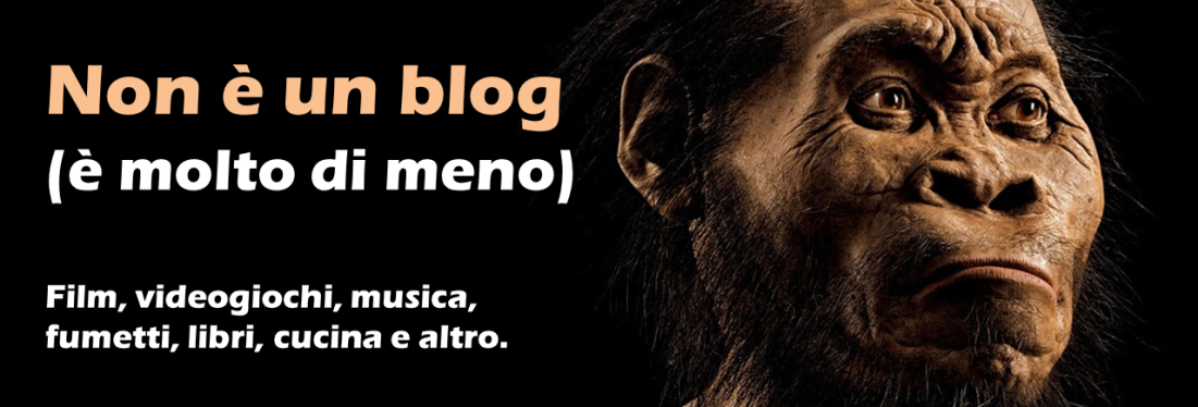 Non è un blog