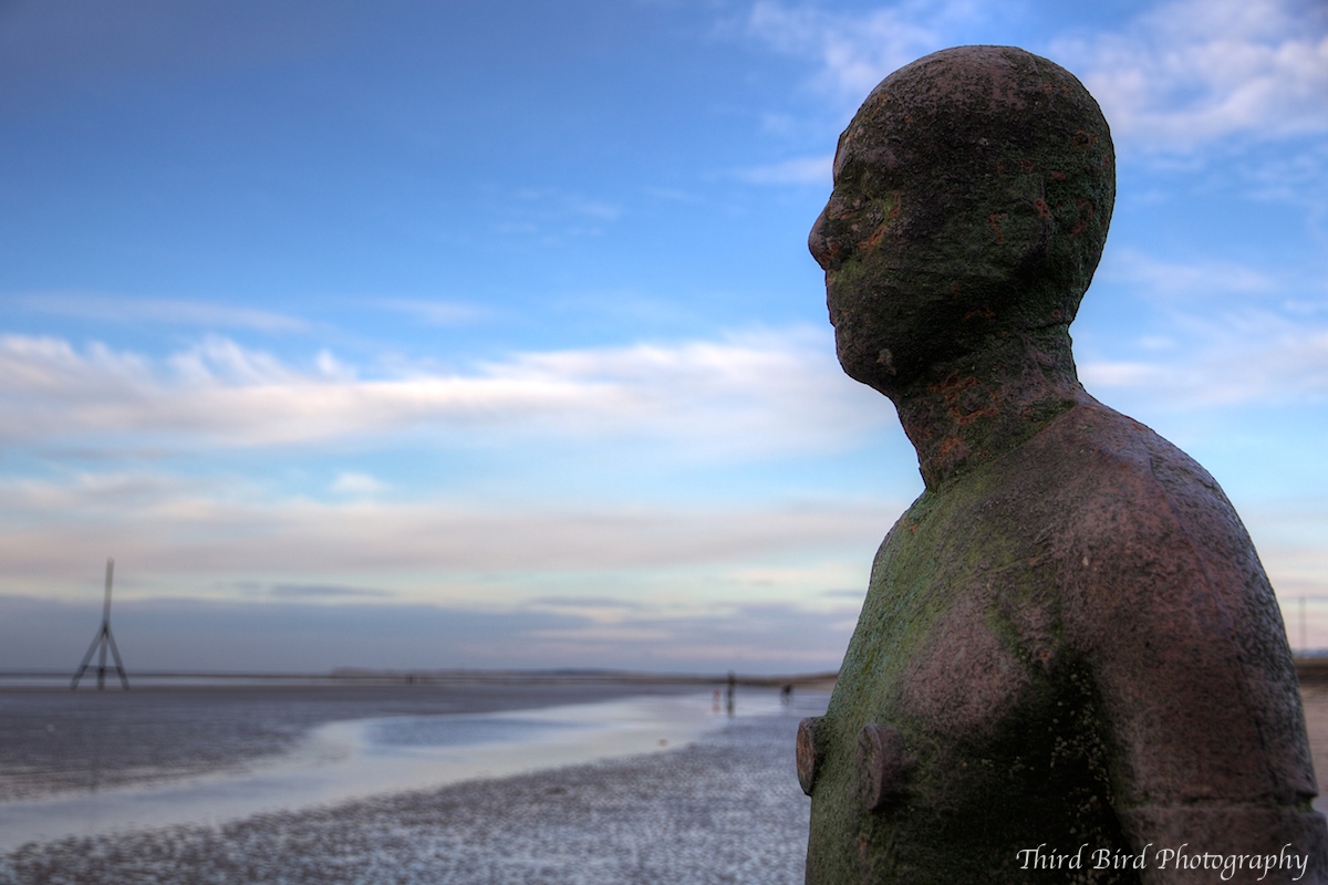 Third Bird Photography Formby & Crosby