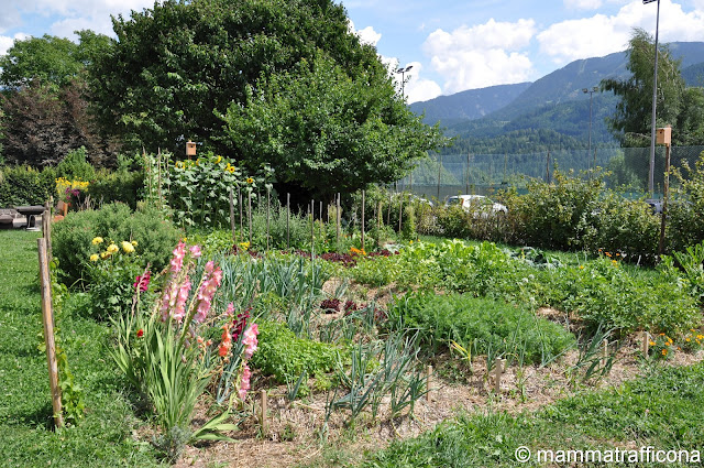 synergica garden agricoltura naturale