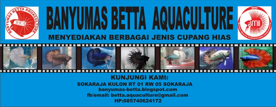 Banyumas Aquaculture