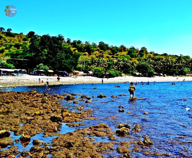 Pesona Wisata Bima, Nusa Tenggara Barat - Wisata Hits