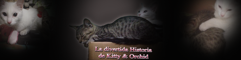 La divertida Historia de Kitty & Orchid