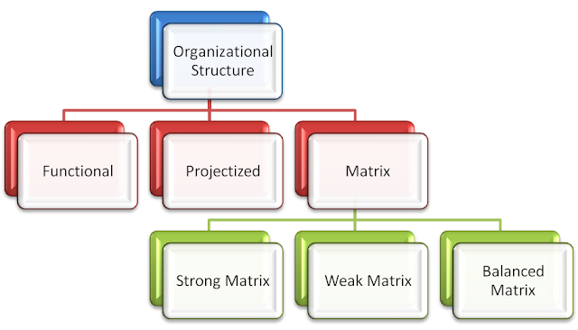 Organizational system of project management 