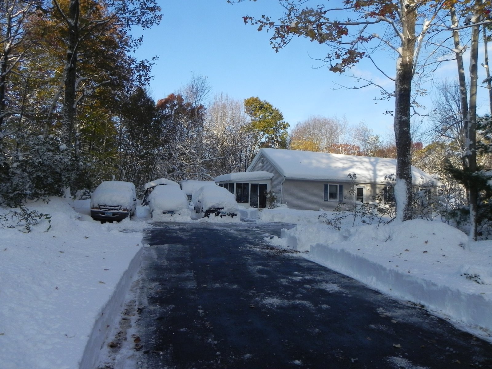 Debbie�s Post October 2011 Snow Storm Alfred