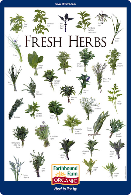 herb chart