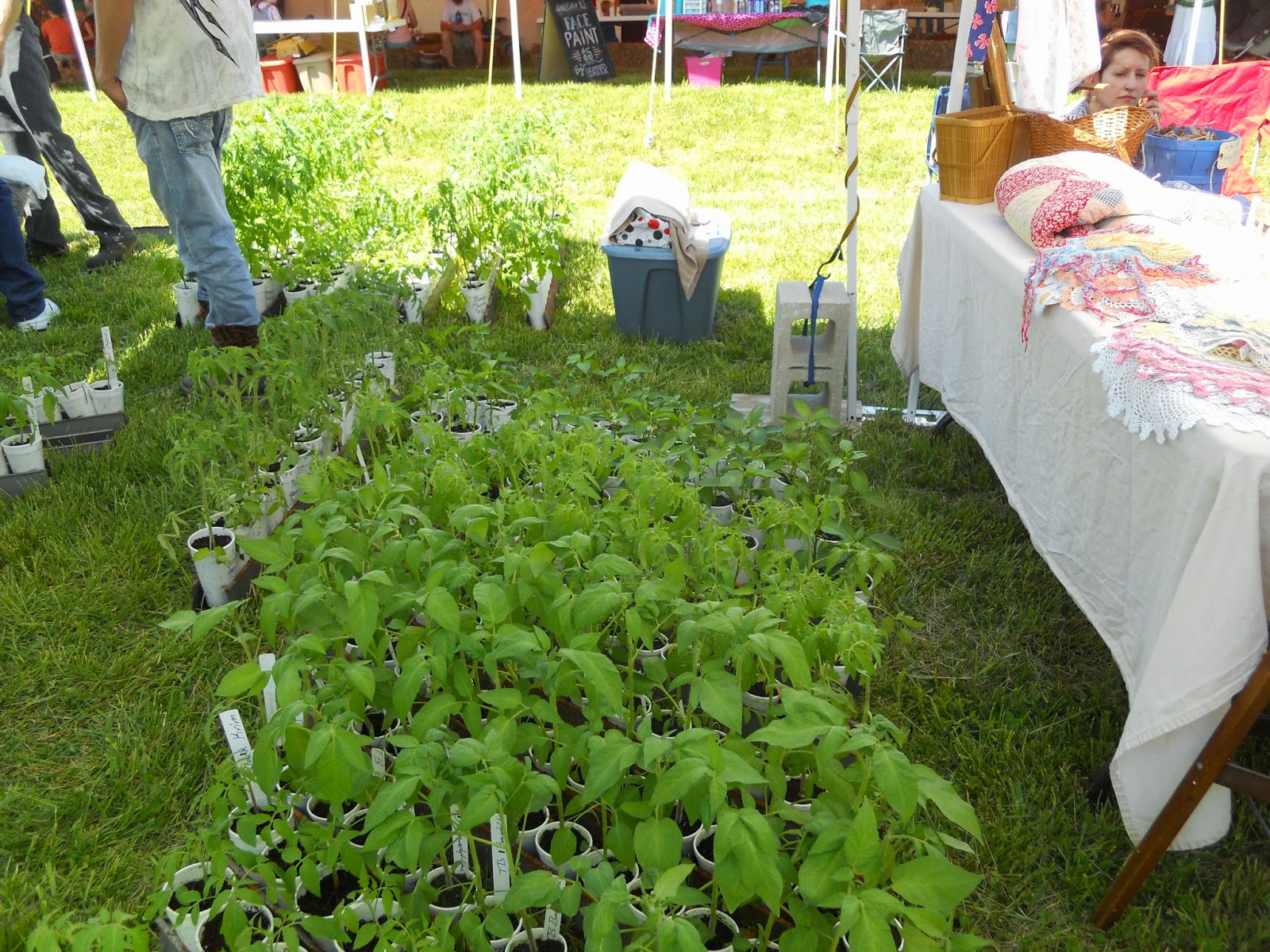 I AM Buddy, The BUDDHA From Mississippi ™ Baker Creek Heirloom Seeds
