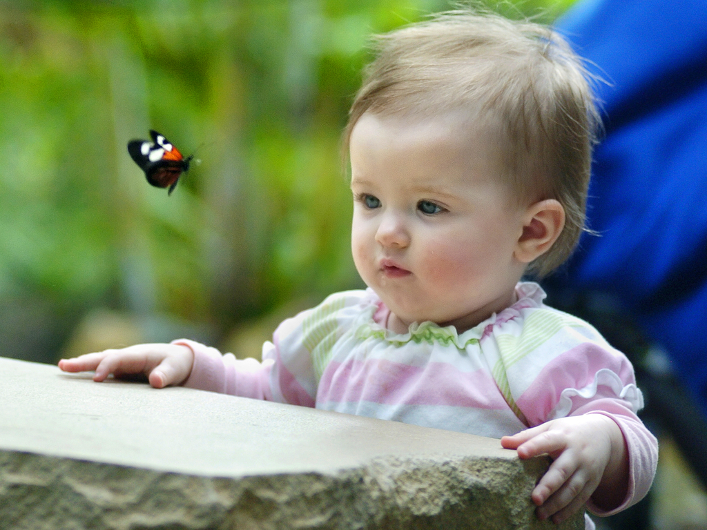 http://1.bp.blogspot.com/-dmheUAZER9A/T1snA8xT08I/AAAAAAAABQg/DLQ8rFPItpM/s1600/Baby-with-Butterfly.jpg
