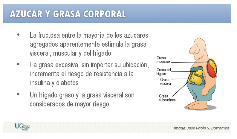 2.11 - Azúcares y edulcorantes artificiales | Nutrición y 2.11 - Azúcares y edulcorantes artificiales | Nutrición y