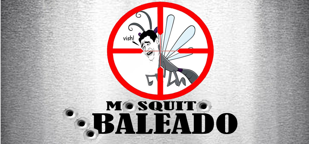 Blog Mosquito Baleado