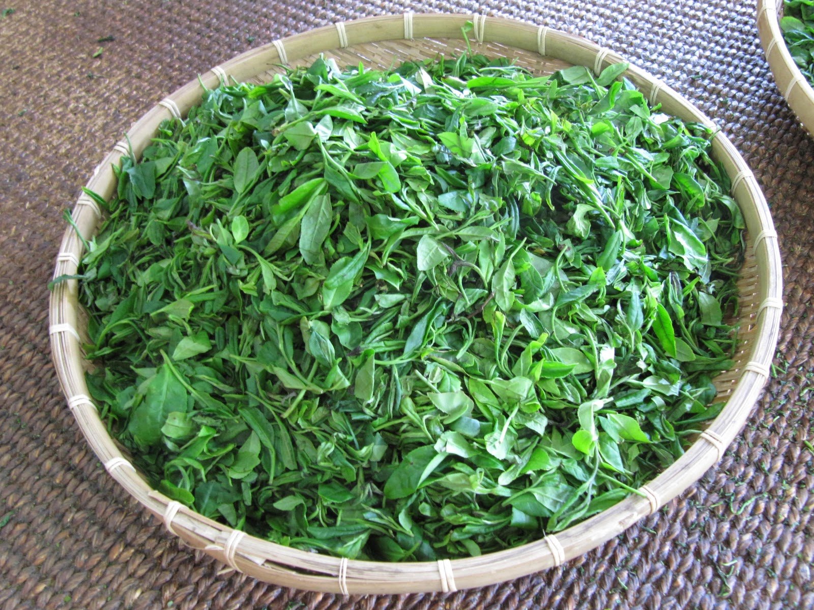 The View From Over Here Wild Tea Festival 2012, Hadong, Korea