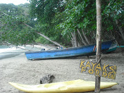 As part of the Peace Corps Costa Rica structure there are various committees . (dscf )