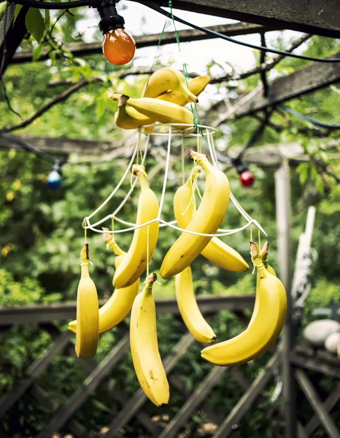 Gretchen Gretchen Diy Banana Chandelier African Party Decoration