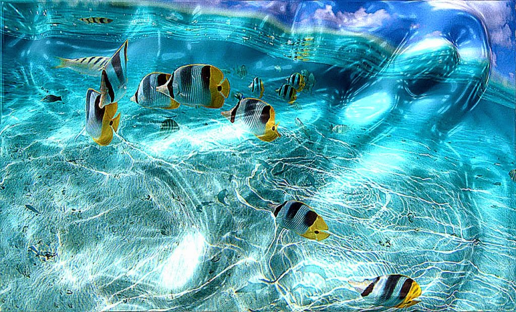 free 3d moving desktop backgrounds MEMEs free 3d moving desktop backgrounds MEMEs