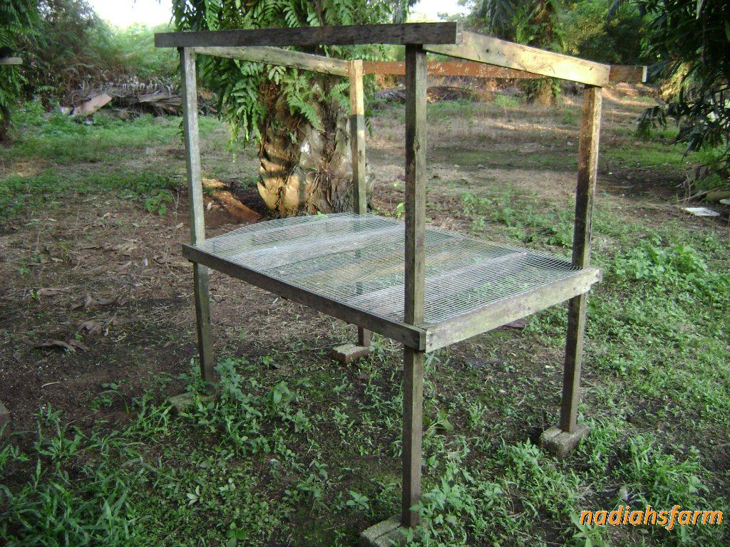 Nadiahs Little Farm Buat Reban Ayam Lagi