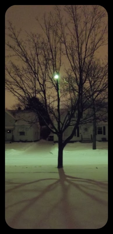 Winter Tree Shadow Before Dawn