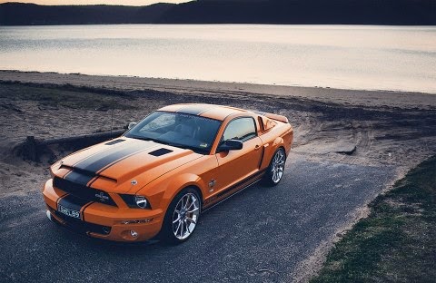 Shelby Mustang Shelby Mustang