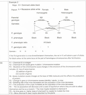 Ap biology essay questions image