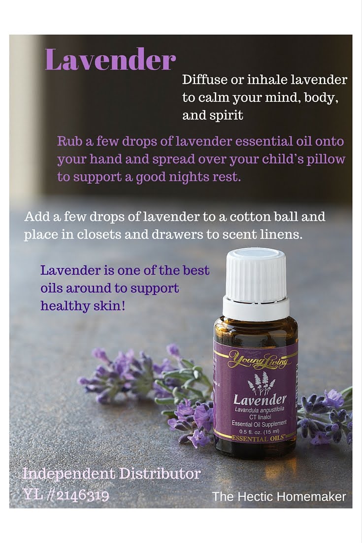 The Hectic Homemaker Lavender Essential Oil Information & Uses