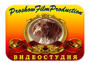 Студии ProshowFilmProduction