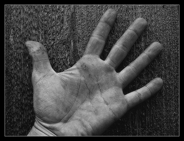 A human hand