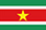 Nama Julukan Timnas Sepakbola Suriname