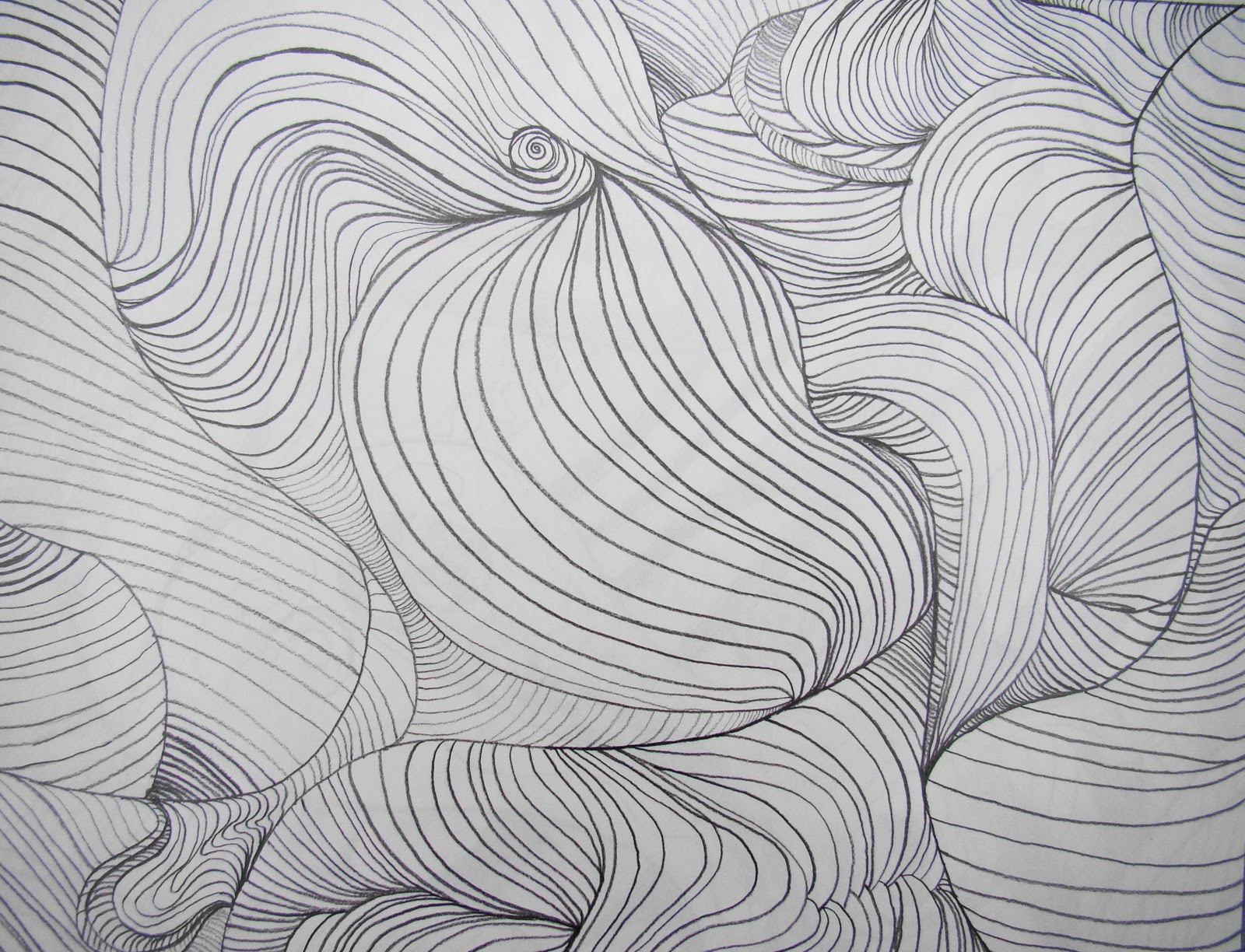 Line Movement Art : Line movement art imgkid the image kid has it