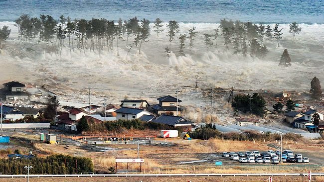 2004 tsunami death toll by country picture