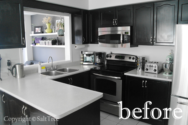 Ebony Kitchen Cabinets Design Ideas Resolution 350x350 Px Size