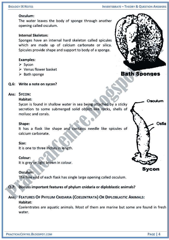 invertebrata-theory-and-question-answers-biology-ix