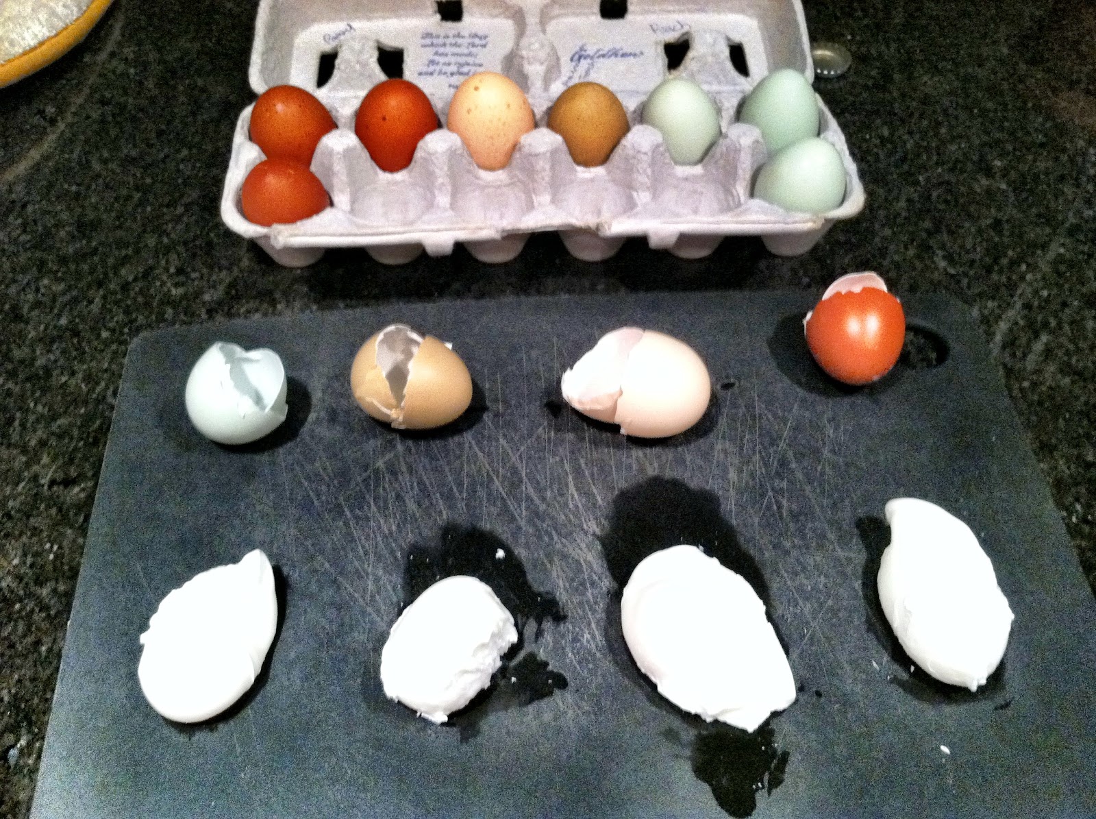 That's What She Fed An Eggcellent Eggsperiment