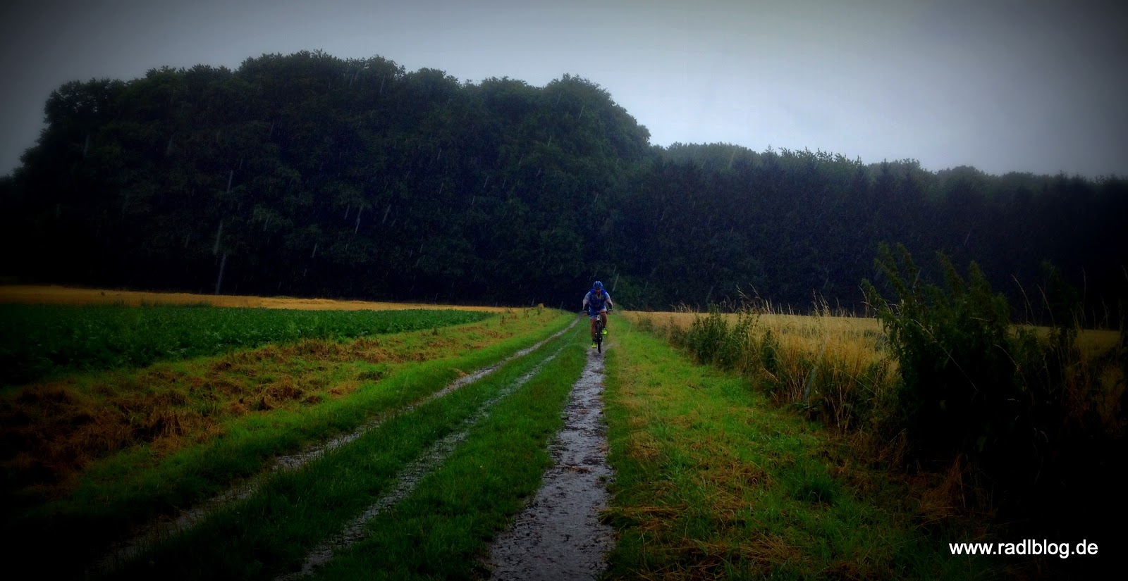 Eminem Revival Tour Hannover 10 07 2018 Ein Konzertbericht