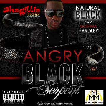 Angry+Black+Serpernt+Cover.jpg