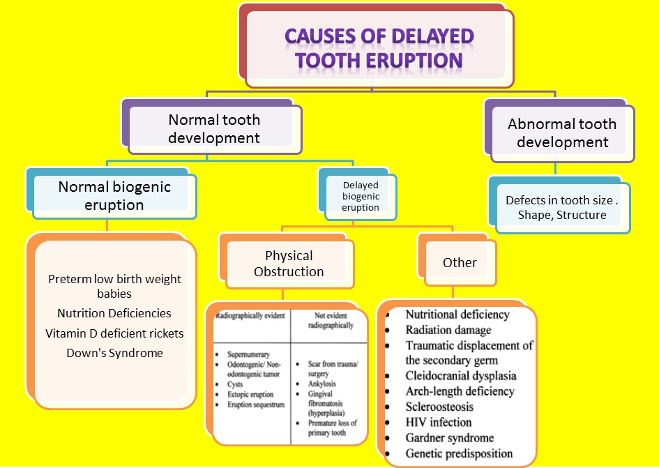 treatment for delayed eruption of teeth