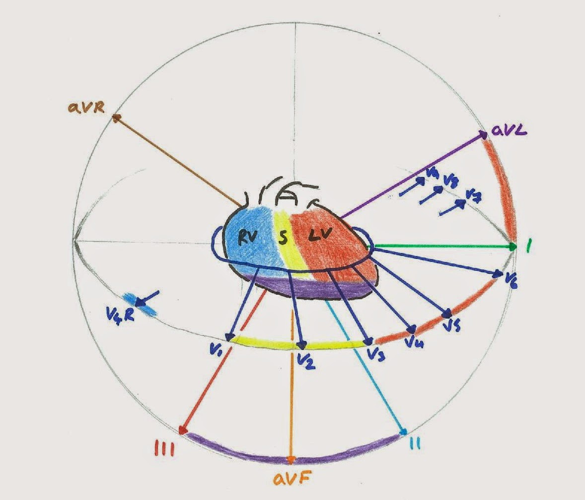 heart faces on ekg