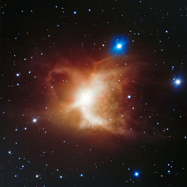 Reflection Nebula IC 2220, the Toby Jug Nebula