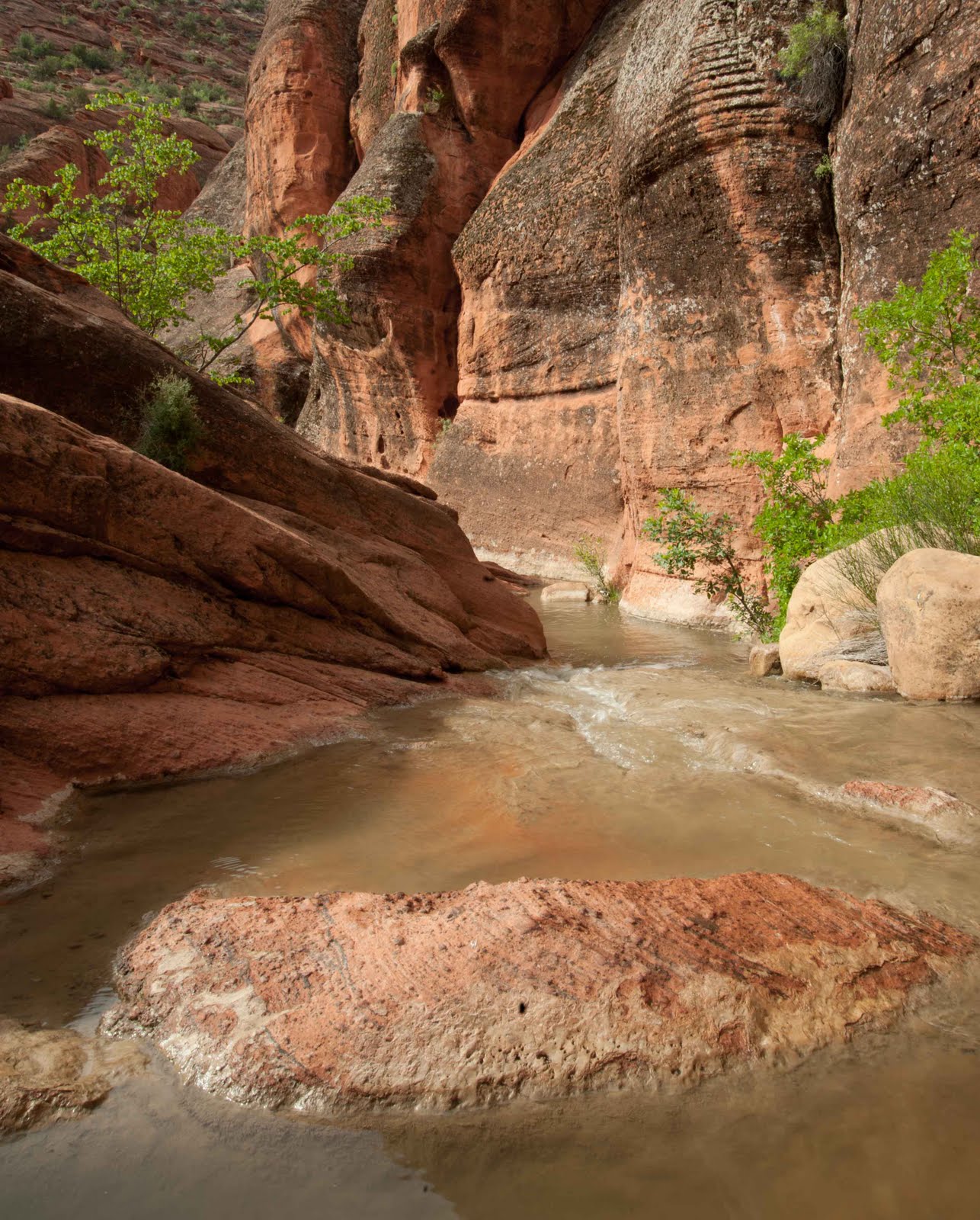 Luke Hansen Photography Red Rock Canyon Recreation Area Leeds, Utah