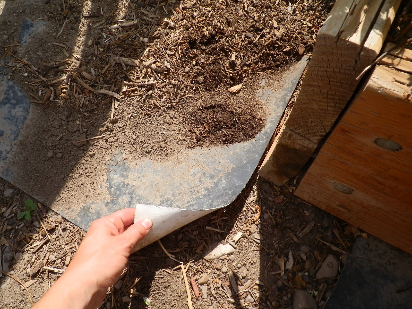 The Gardener's Spot: Making Walking Paths in the Garden