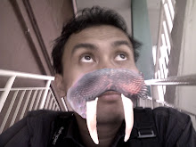 My Photo
