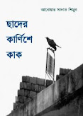 ছাদের কার্ণিশে কাক