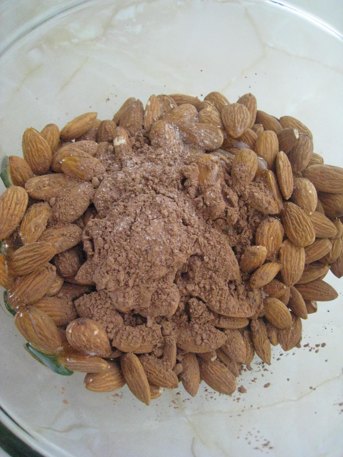 CocoaHoney Roasted Almonds