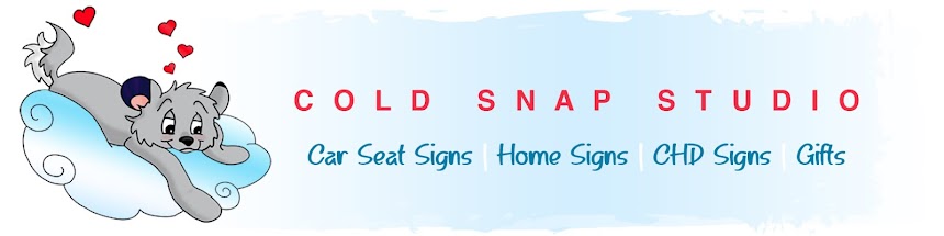 Car Seat Signs by Cold Snap Studio