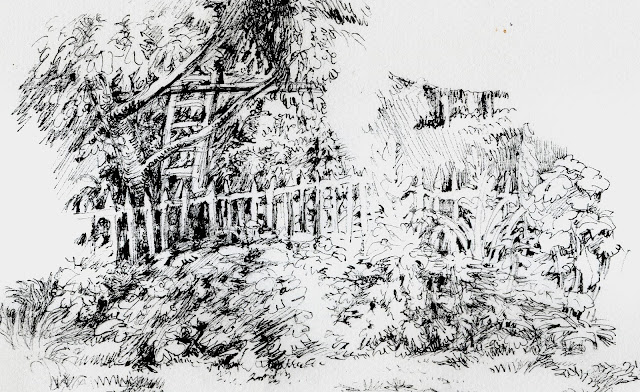 tusche, zeichnung, blueten, botanik, baum, glueck, ink, drawing, garden, blossoms, trees, ladder, happyness, flowers, grass, fence