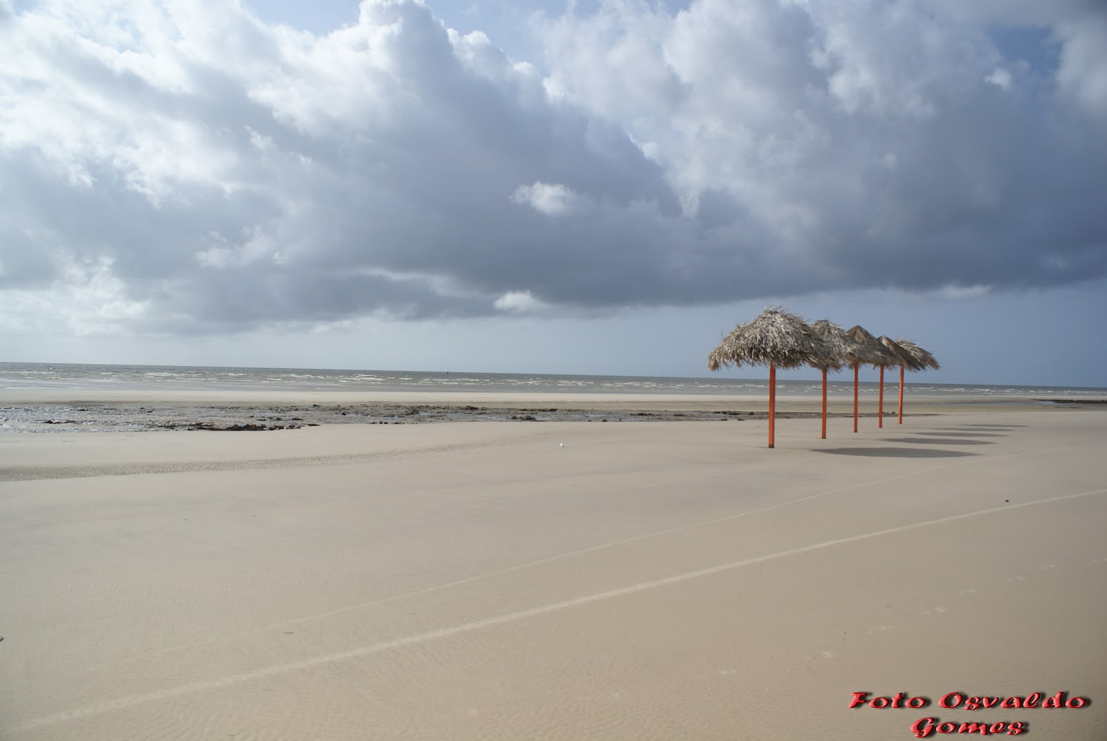 Ilha de Marajo