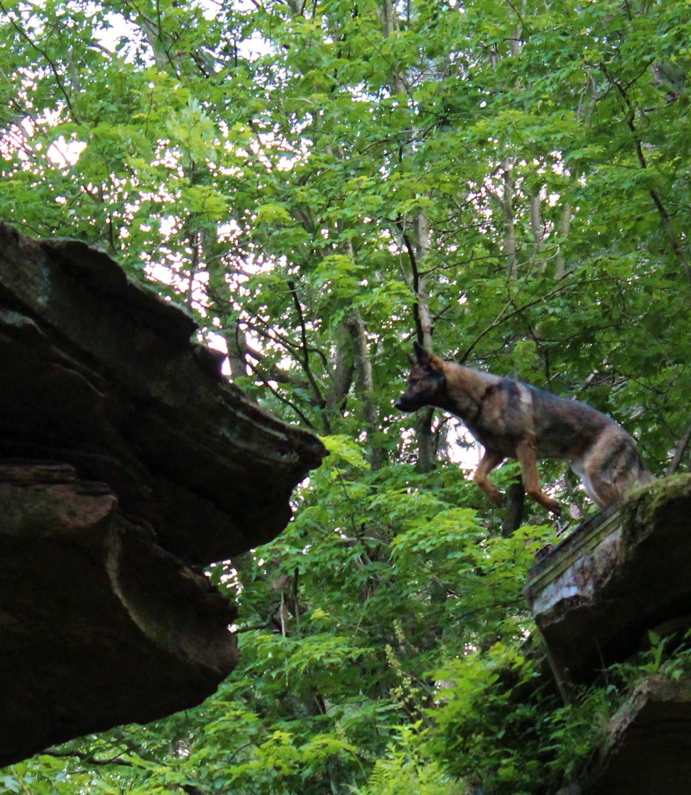 Las Aventuras The Wisconsin Dells