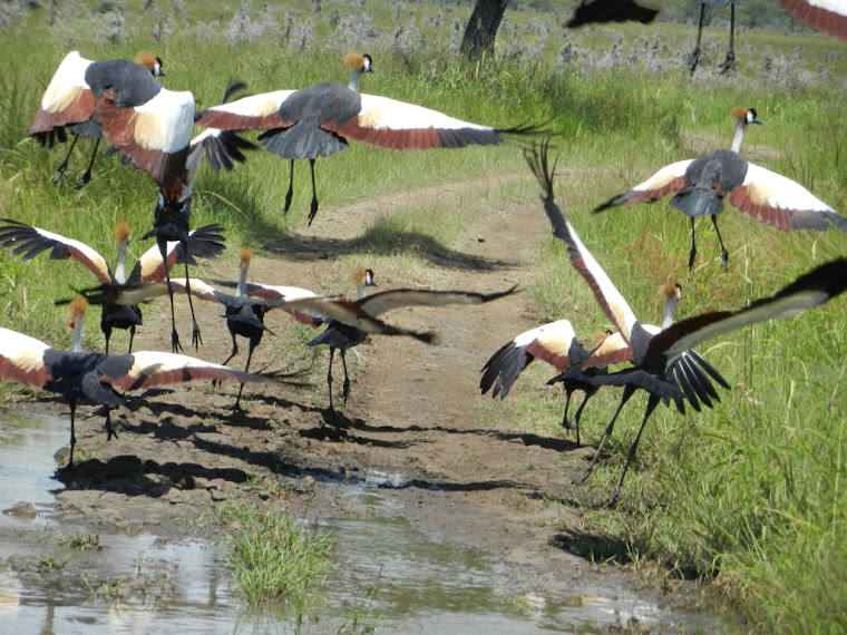 Ruma National Park