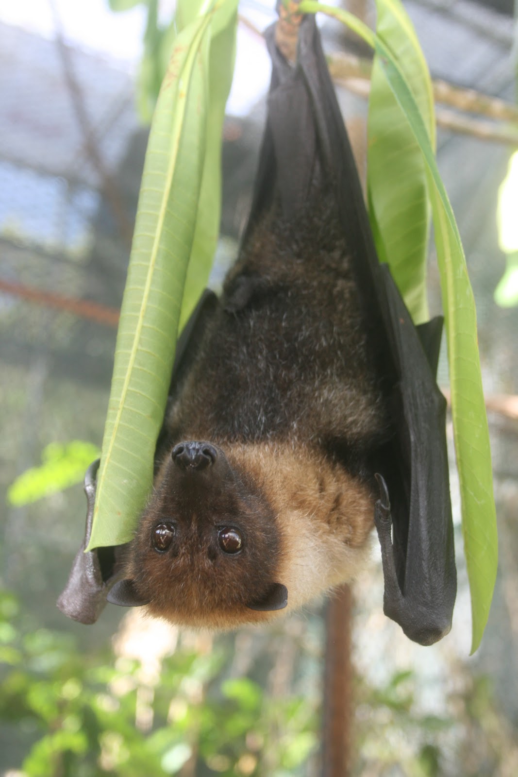 My Time in the Mariana Islands