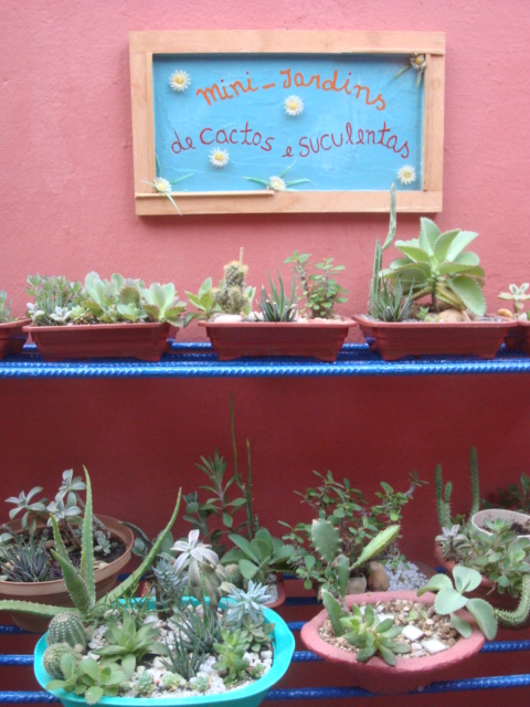 mini jardim de quintal:Meu Jardim é Assim: Prateleiras para os mini-jardins de cactos e mini jardim de quintal:Meu Jardim é Assim: Prateleiras para os mini-jardins de cactos e