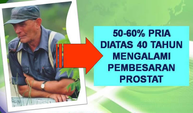 solusi prostat id=